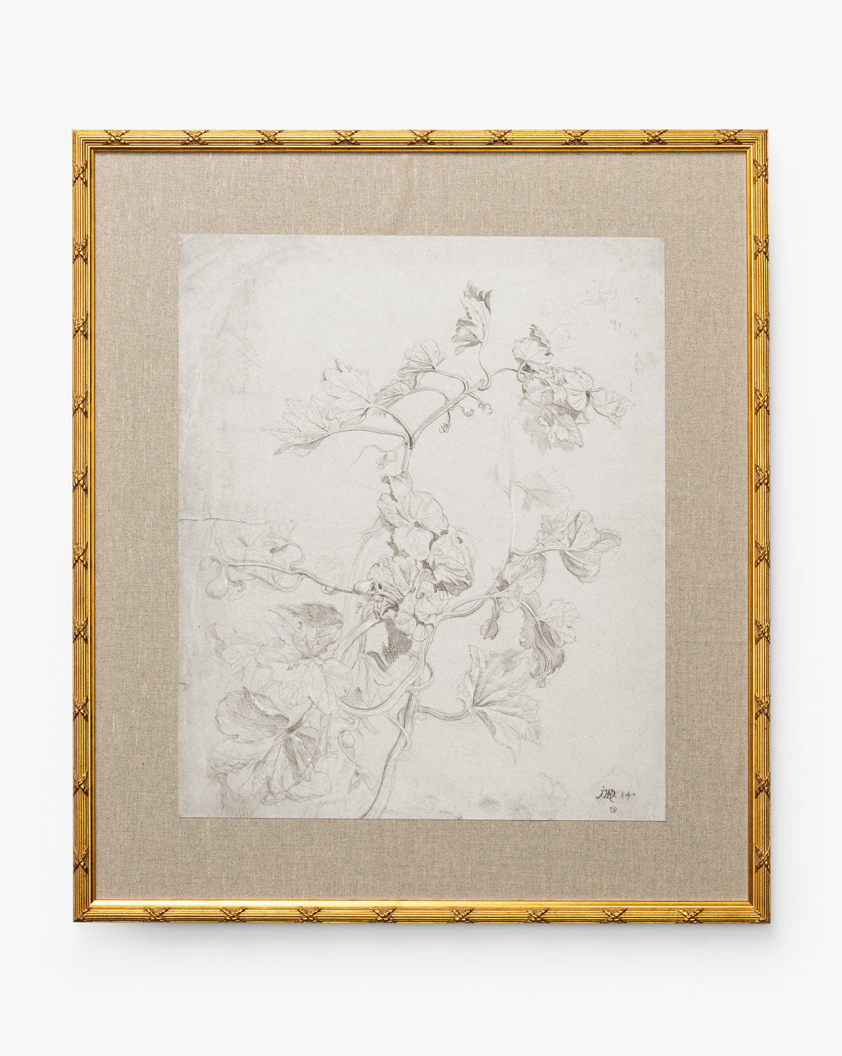 Feathery Floral is a framed botanical sketch with feathery flowers and delicate leaves on light paper, set in a gold frame with a neutral fabric mat, by McGee & Co.