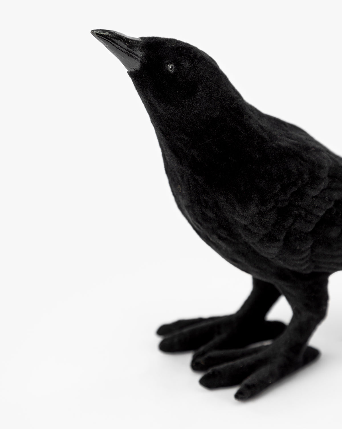 Flocked Resin Crow Statues (Set of 2)