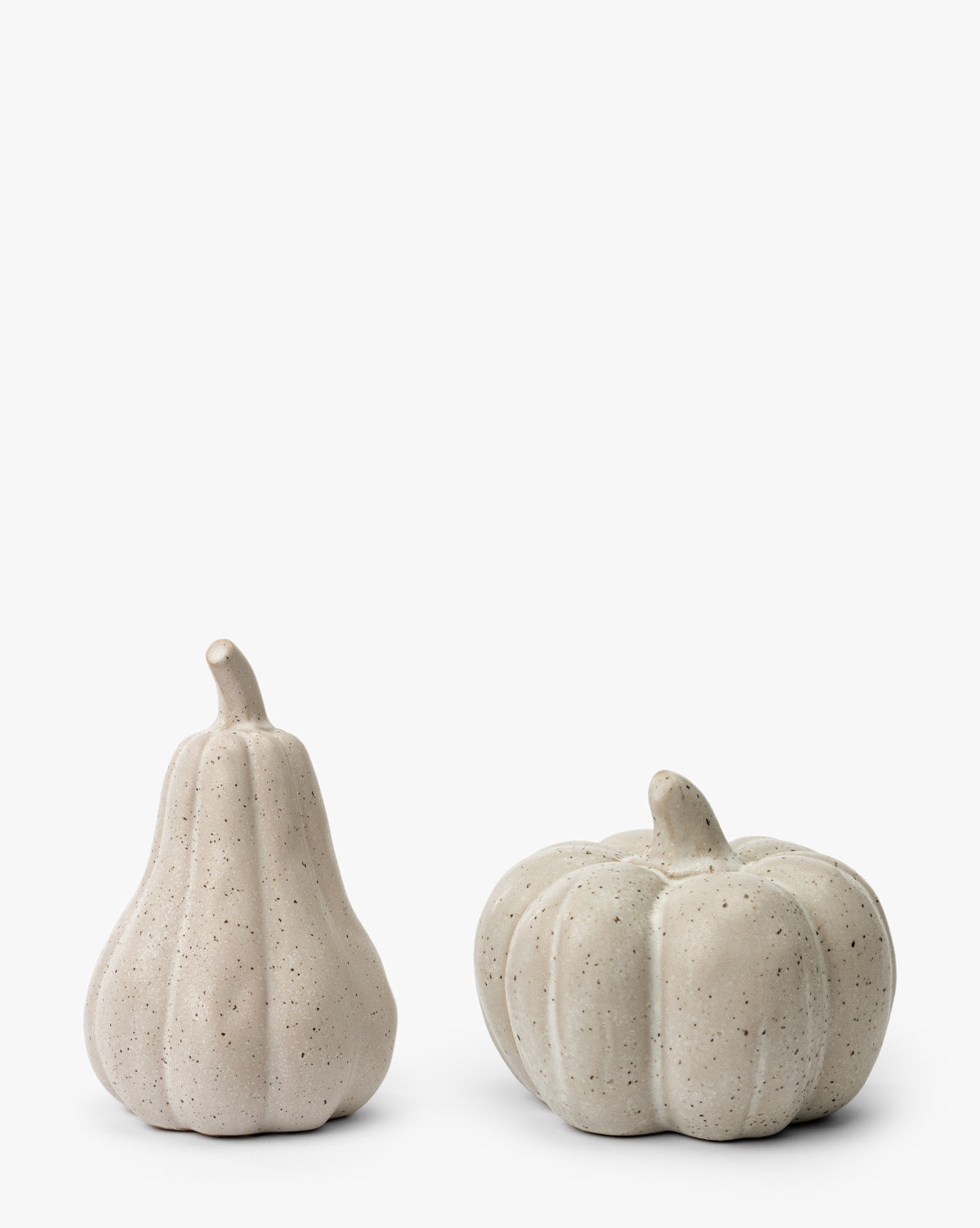 The Glazed Stoneware Pumpkins (Set of 2), featuring one gourd and one pumpkin shape with a matte speckled finish, create a subtle fall decor accent against a simple white background, by McGee & Co.