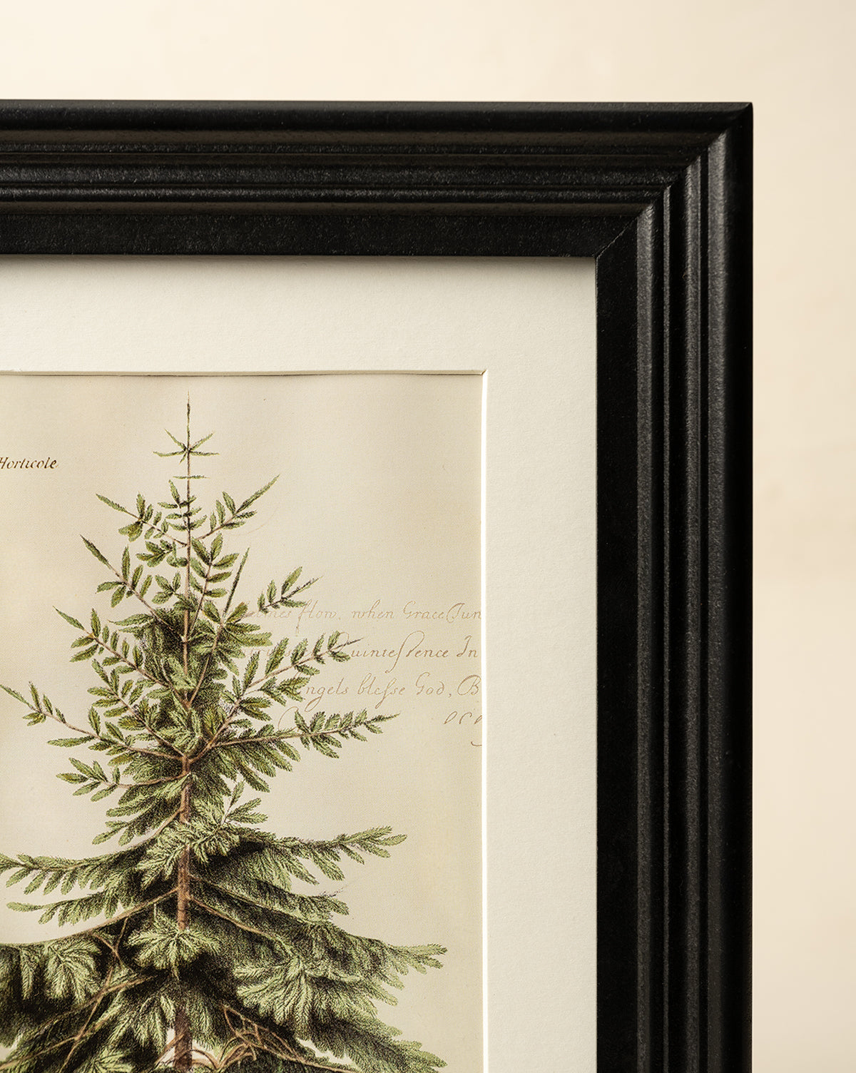 A close-up of the Holiday Tree Art print shows the top of a pine tree with faint handwritten text in the background. The black frame has a ridged border, making it perfect as holiday wall decor, by McGee & Co.