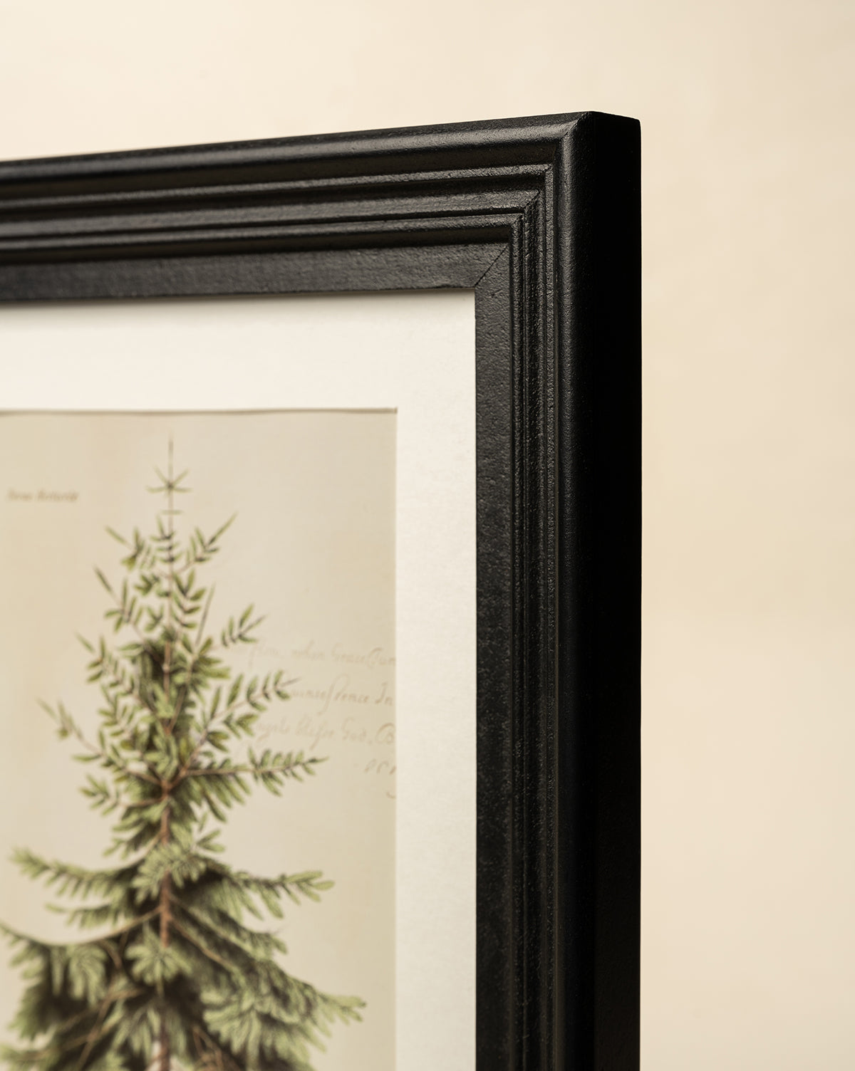 Close-up of a black-framed Holiday Tree Art print featuring a green, needle-leaf tree on a cream background. The matte black frame has subtle ridged details—ideal holiday wall decor, by McGee & Co.