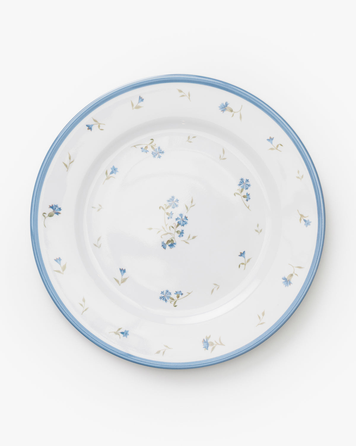 Hollingbury Melamine Outdoor Dinner Plates (Set of 4)
