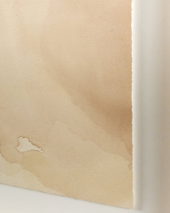 Neutral Watercolor