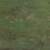 Olive Palette