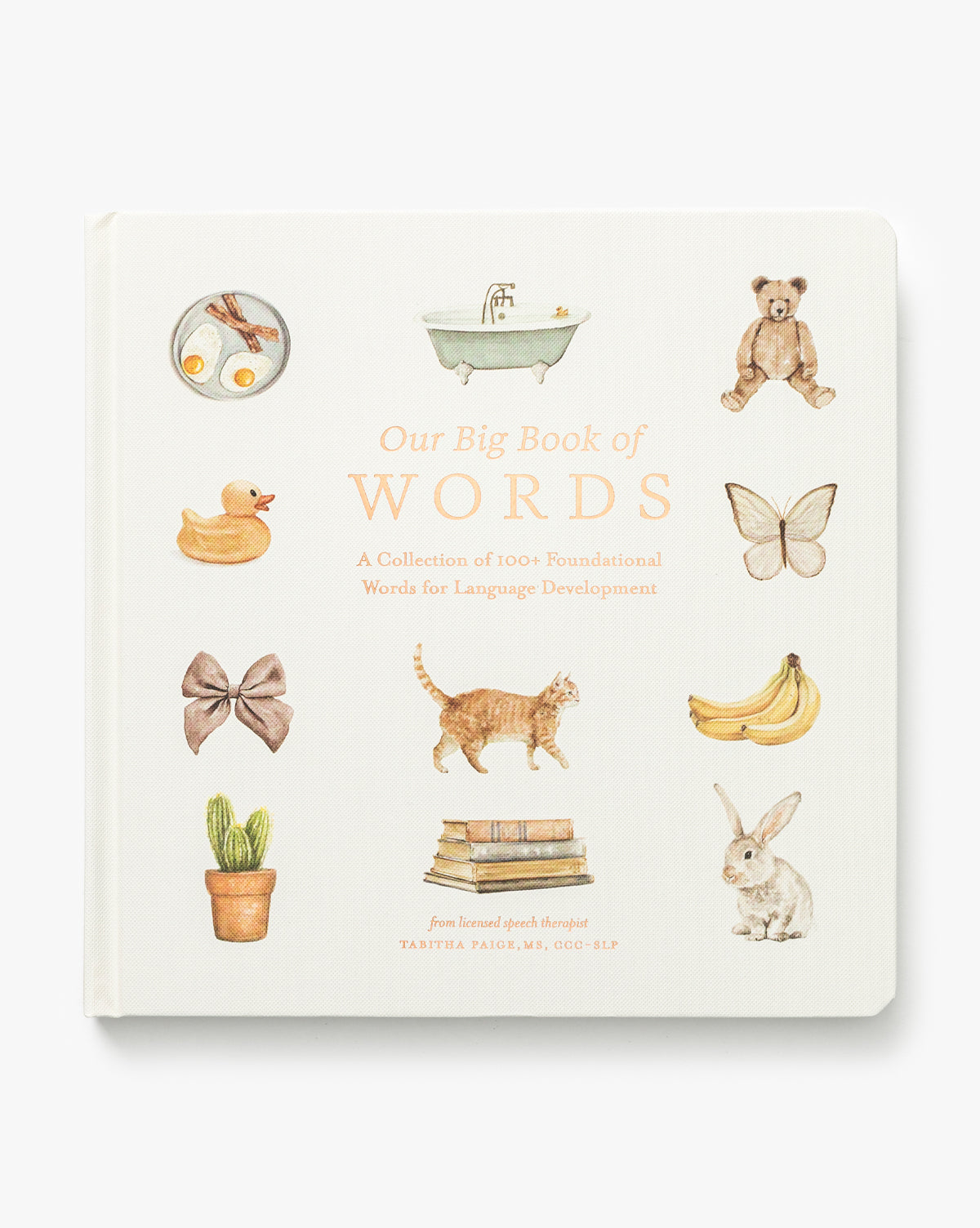 Our Big Book of First Words is a childrens board book with cover illustrations of eggs, a bathtub, a teddy bear, a duck, and bananas, designed to build vocabulary and introduce first words by McGee & Co.