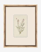 Petite Floral VII