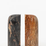 Petrified Wood Bookends (Set of 2)