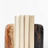 Petrified Wood Bookends (Set of 2)