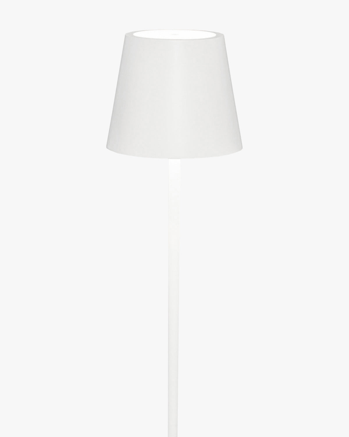 Poldina Indoor/Outdoor Adjustable Floor Lamp