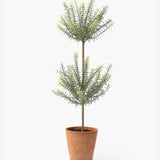 faux rosemary plant, faux rosemary, small faux potted plants, faux topiary, spring home decor 