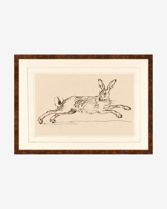 Jackrabbit top running company