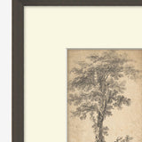 Tree on a Hilltop