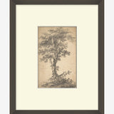 Tree on a Hilltop