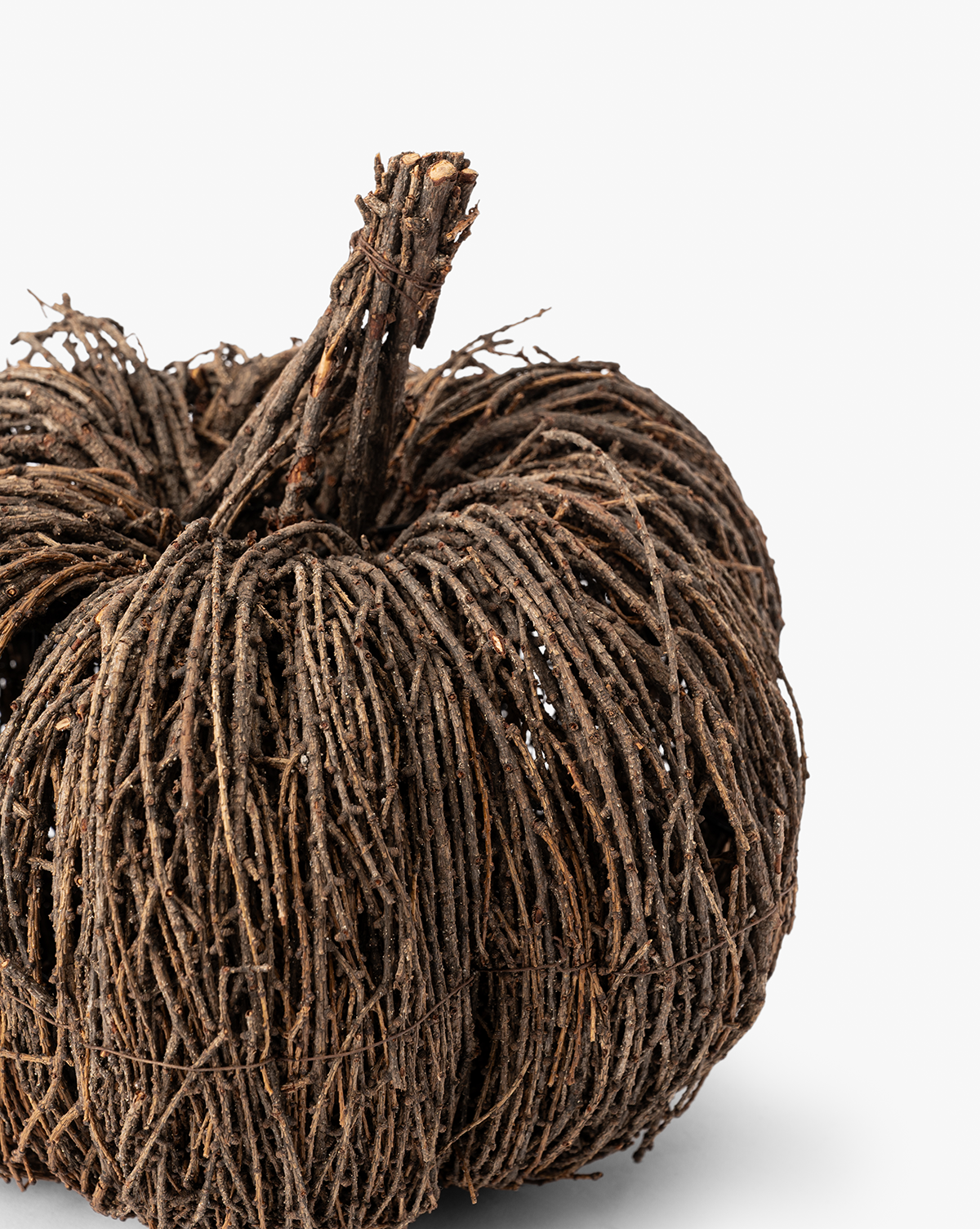 Vine Pumpkin