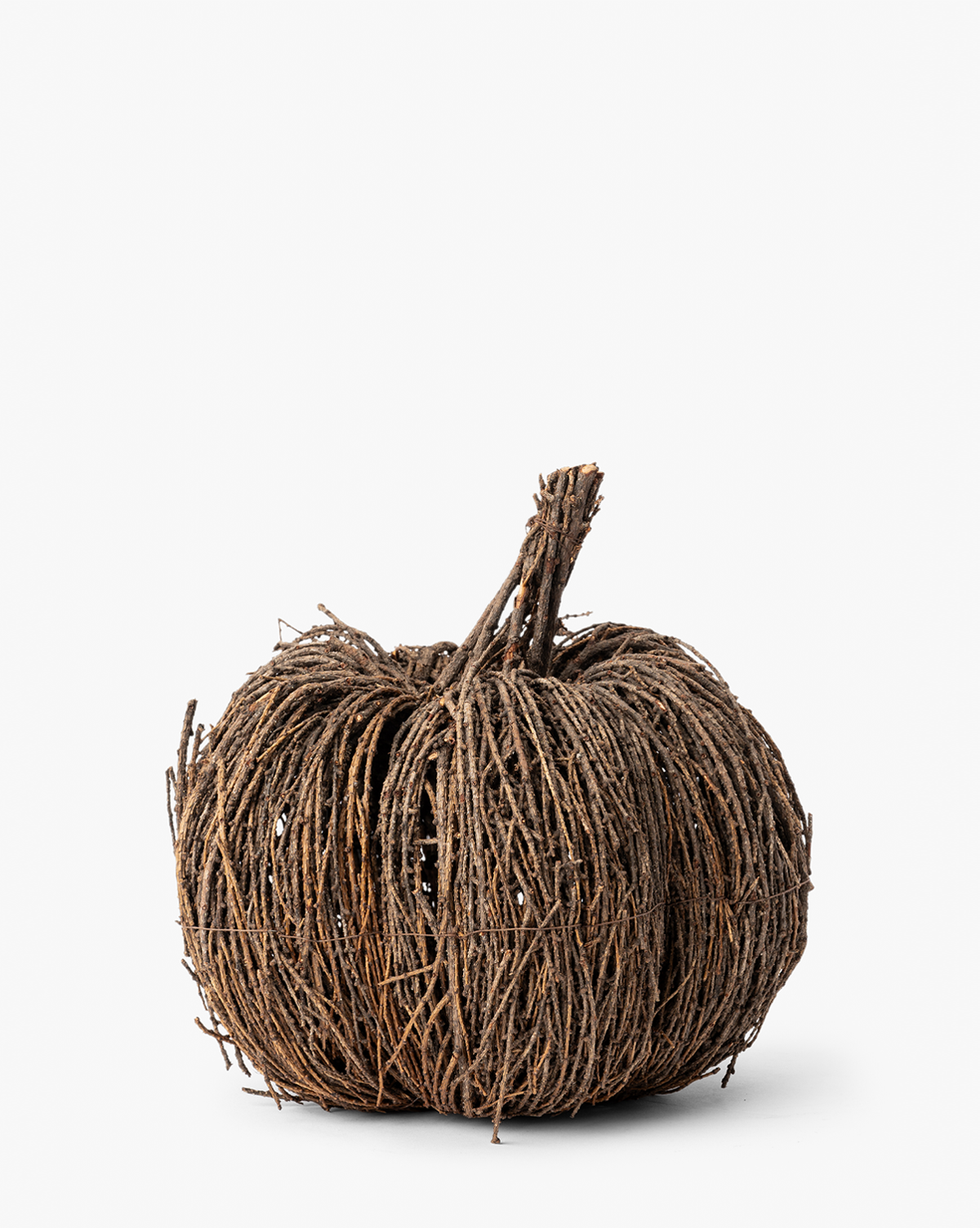 Vine Pumpkin
