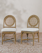 Marisol Indoor/Outdoor Dining Chair (Set of 2)