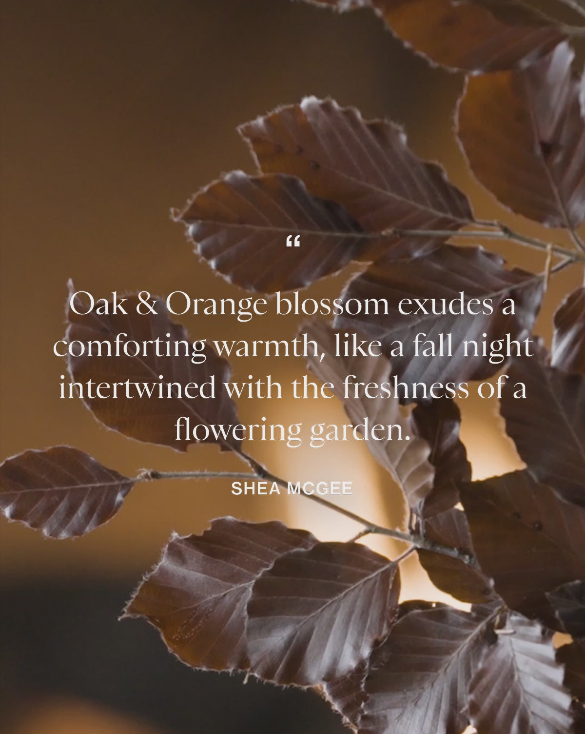 Oak & Orange Blossom Hand Lotion from McGee & Co.