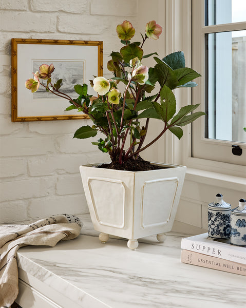 ローポタリー　アーントステラ ハーブポッド＆トレー Talbot Stoneware Planter