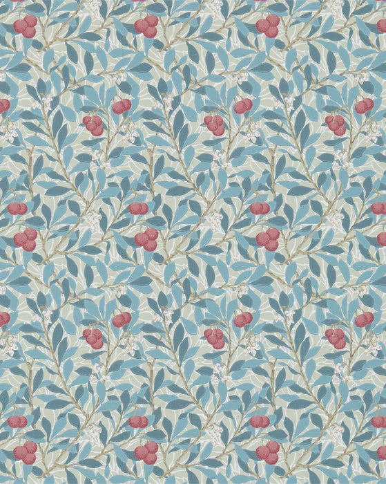 Arbutus Wallpaper