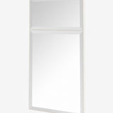 Ariel Rectangle Mirror