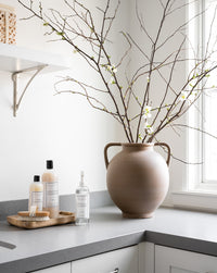 Rounded Dual Handled Vase