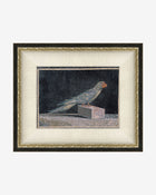 Blue Parrot