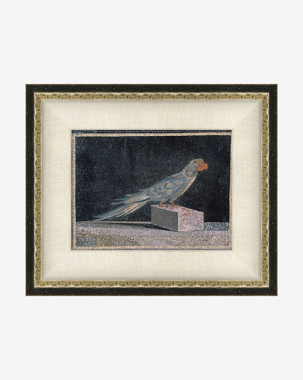 Blue parrot promo 2025 code