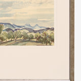 Blue Sky & Trees