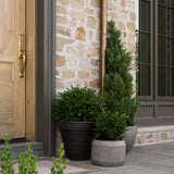 Verena Planter