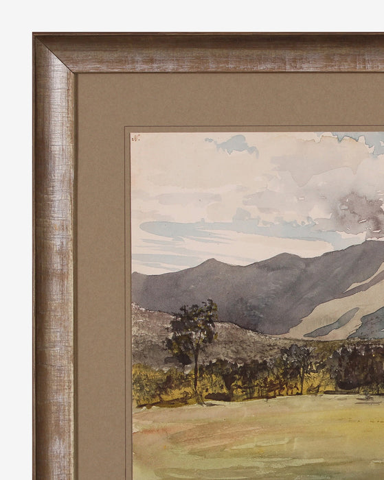 Country Landscape