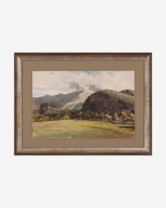 Country Landscape