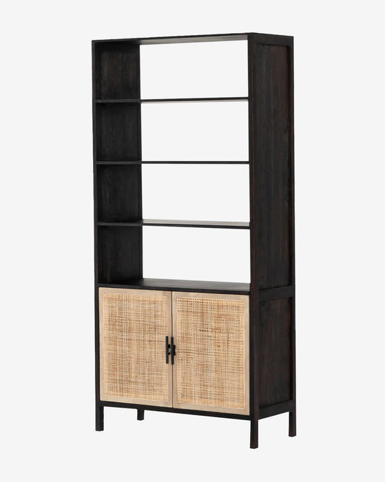 Fallon Bookshelf