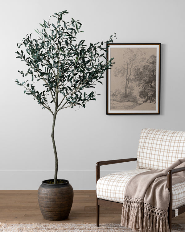 Faux 72" Olive Tree with Ceramic Pot