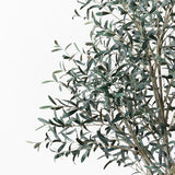 Faux 96" Olive Tree with Woven Pot