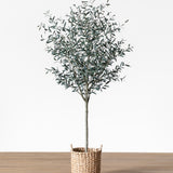 Faux 96" Olive Tree with Woven Pot