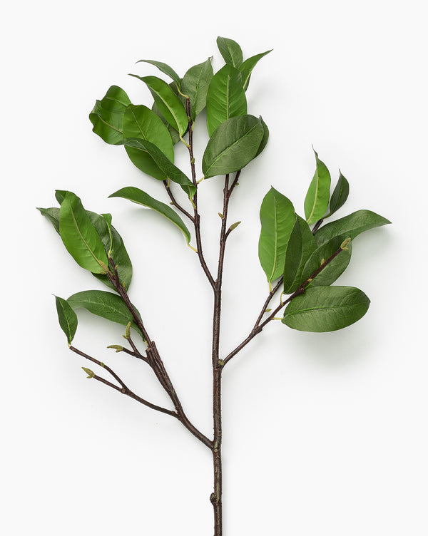 Faux Laurel Leaf Stem