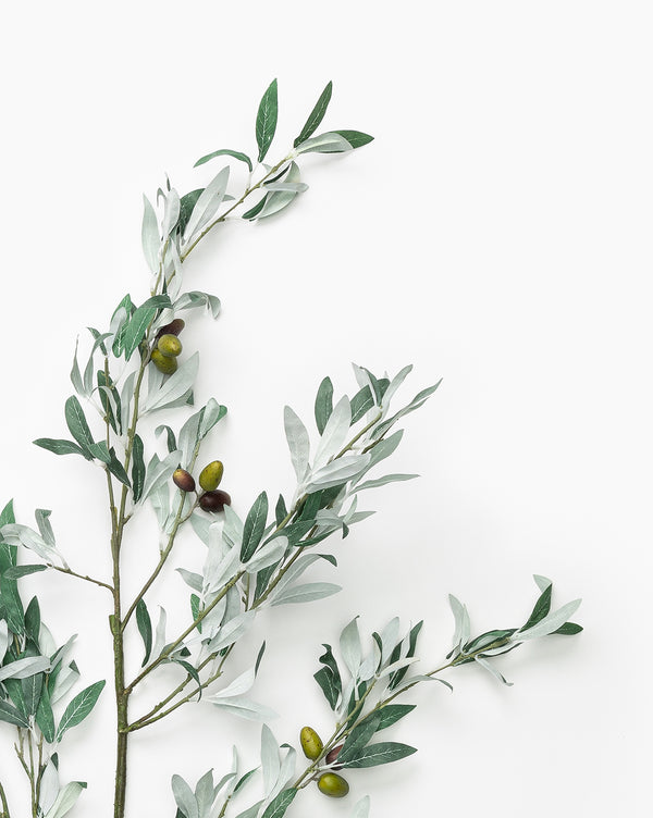 Faux Olive Branch