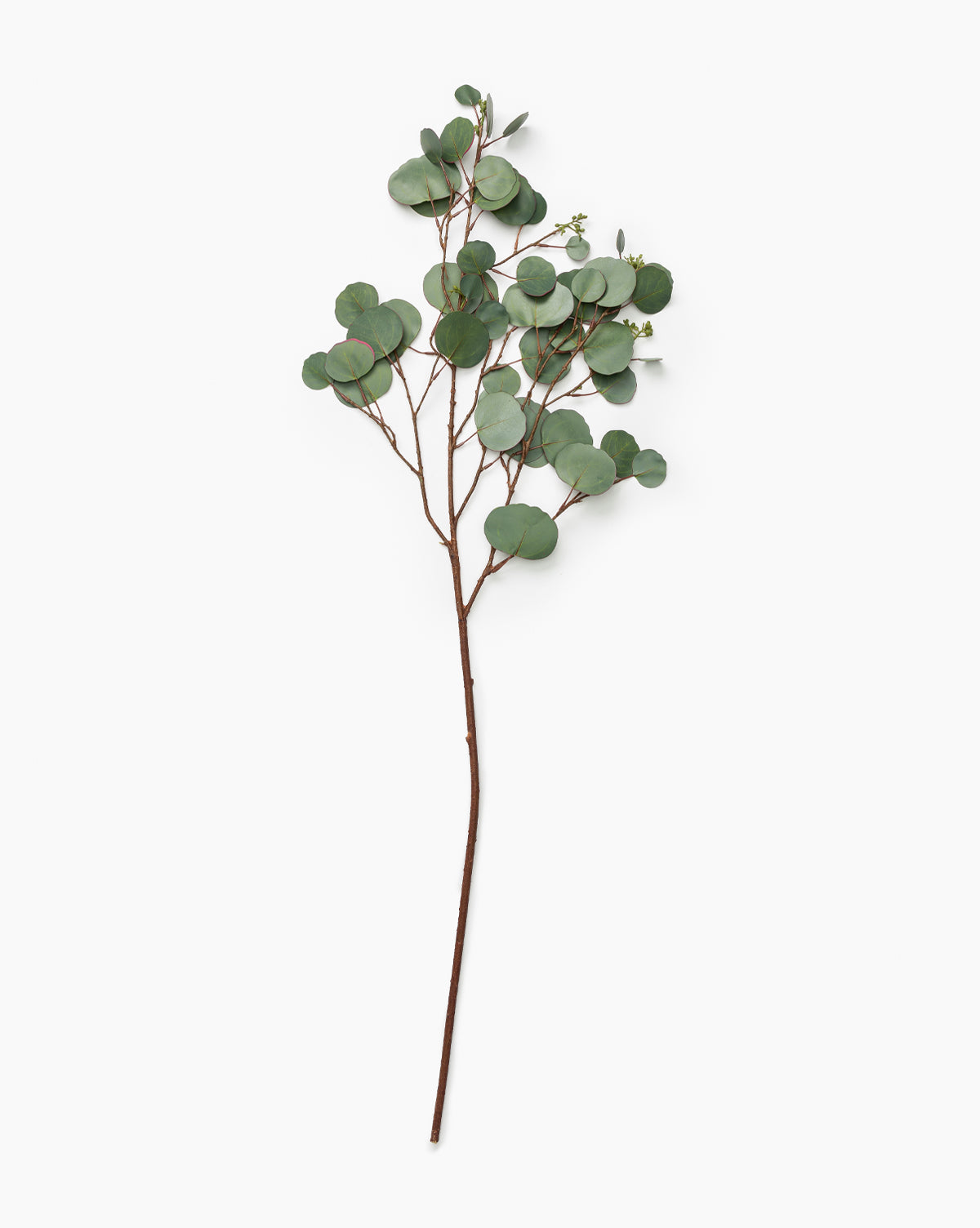 Faux Seeded Dollar Eucalyptus Stem