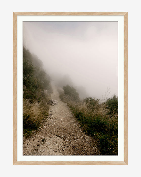 Foggy Path