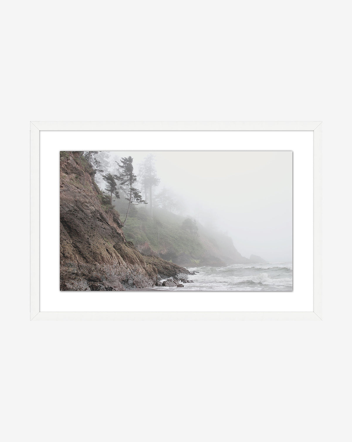 Foggy Shores