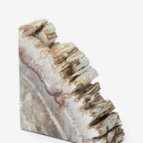 Fossilized Wood Bookends (Set of 2)