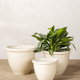 Glossy Cream Garden Pots (Set of 3)