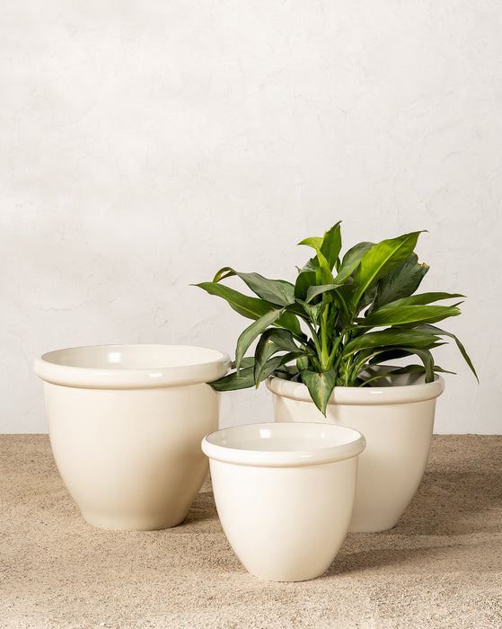 Glossy Cream Garden Pots (Set of 3)