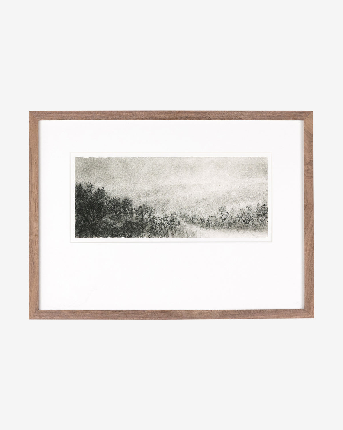 Hill Country Study I by Aileen Fitzgerald