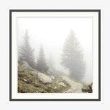 Foggy Mountain I