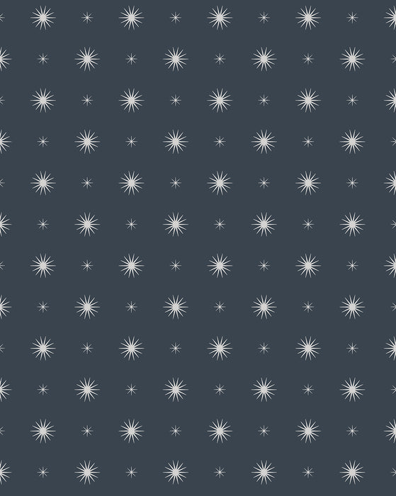 Aster Wallpaper