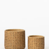 Natural Cement Planter (Set of 2)