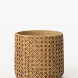 Natural Cement Planter (Set of 2)