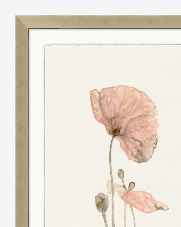 Pink Blooming Flowers