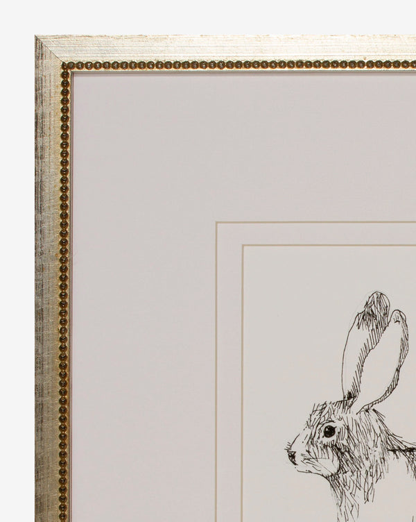 Sketched Bunny I